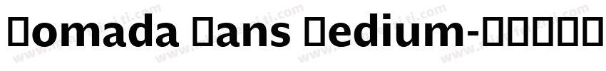 Nomada Sans Medium字体转换
